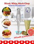 Denmark Electric Two-Speed Hand-Held Immersion Blender & Reviews Denmark Electric Two-Speed Hand-Held Immersion Blender & Reviews